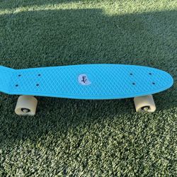 Penny Skateboard 