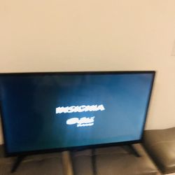 Flat Screen Tv Works With Roku Or Fire stick