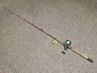 Sealing Graphite Custom SCG-22HF