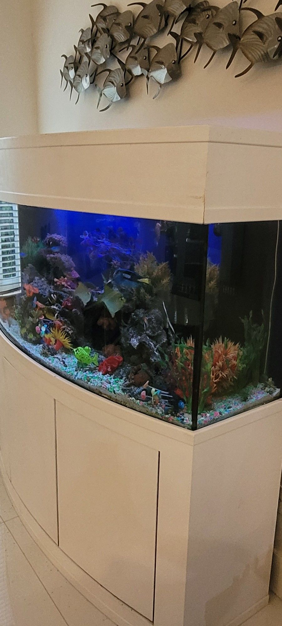 210 Gal. Saltwater Aquarium for Sale in Miami, FL OfferUp
