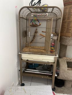 Bird Cage including some enrichment toys