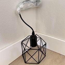 Pendant light frame without bulb