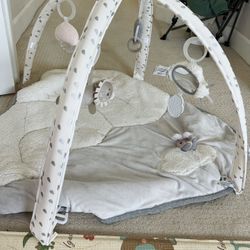 Infant Activity Playmat
