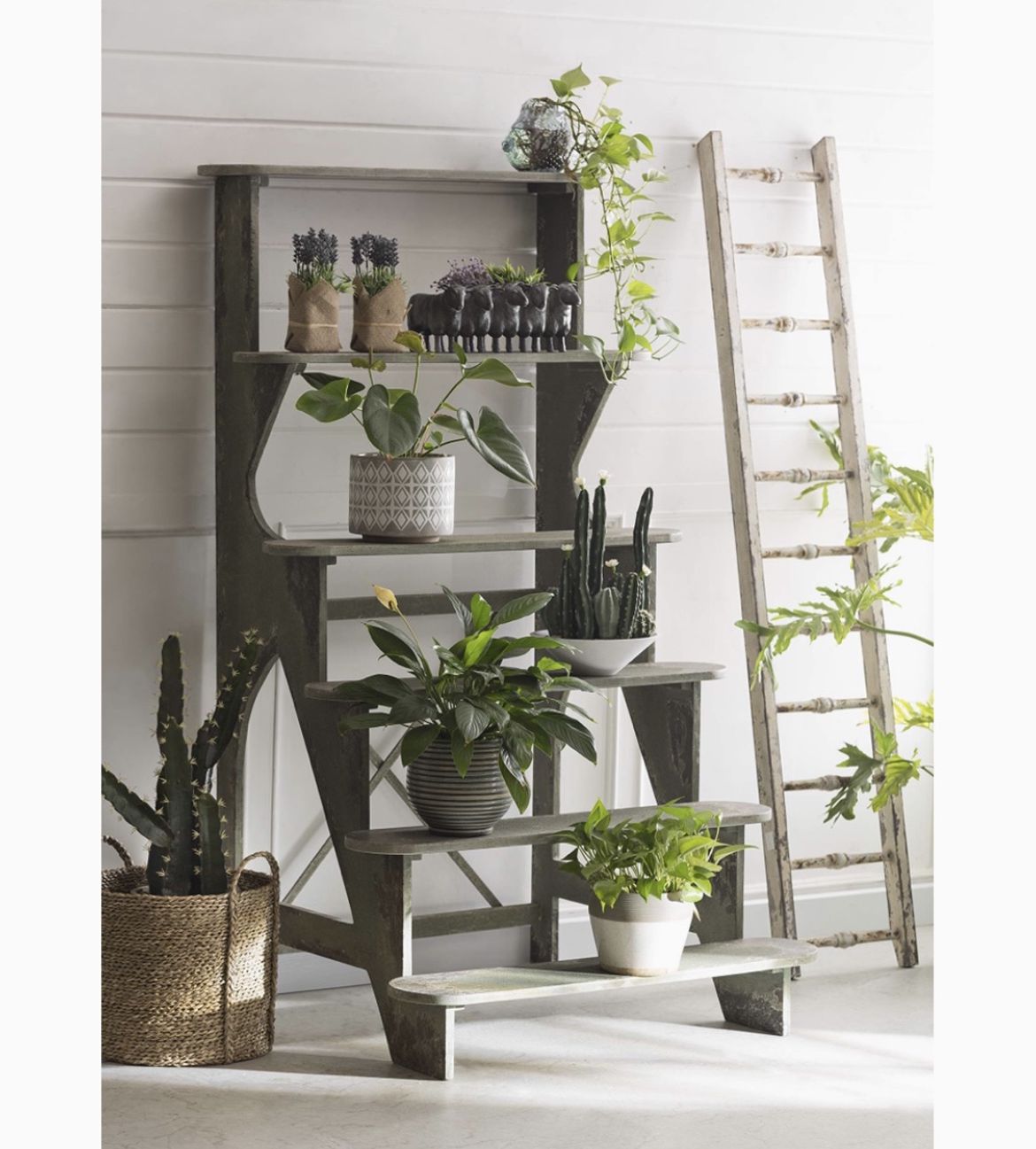 Creative Co-op Decorative Wood Ladder, Distressed White