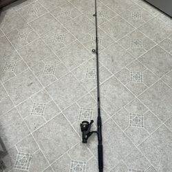 Master Spectra Fishing Pole 