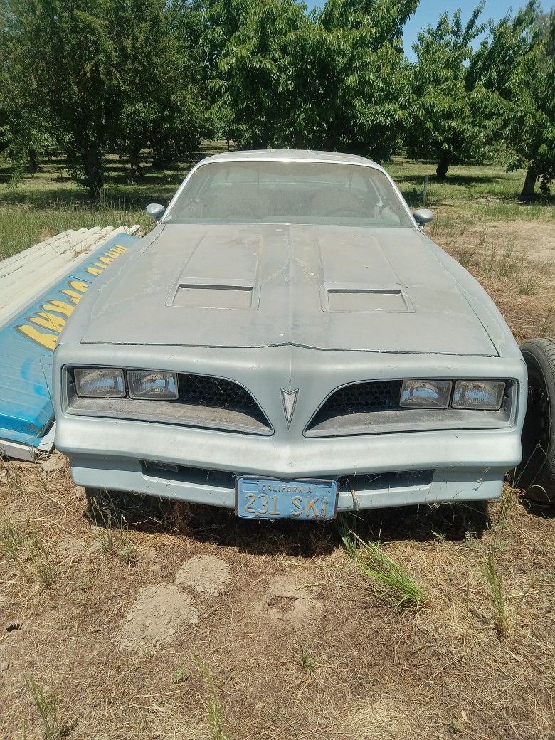 1976 Pontiac Firebird