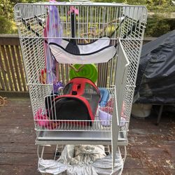 Large Glider Or Bird Starter Kit