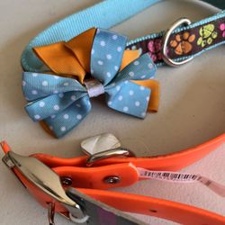 Dog Collars