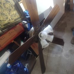 Ceiling fan with lights