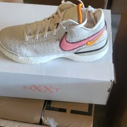 ZOOM LEBRON NXXT Gen