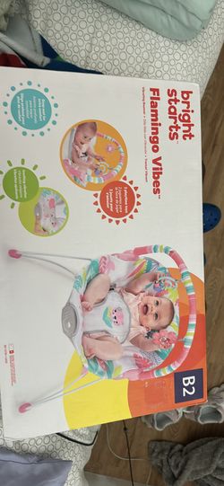 Bright Starts Flamingo Vibes