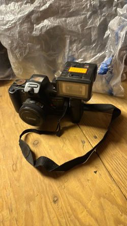 Canon Camera Display model