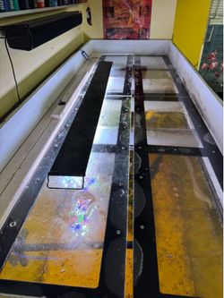 180 Gallon Fish $550