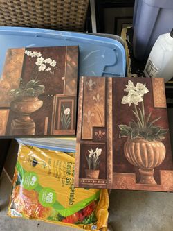 Orchid Flower Plant Wall Art Canvas 