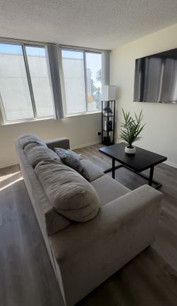 Queen Sleeper Sofa For Sale