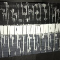 Original Painting 20 X 16