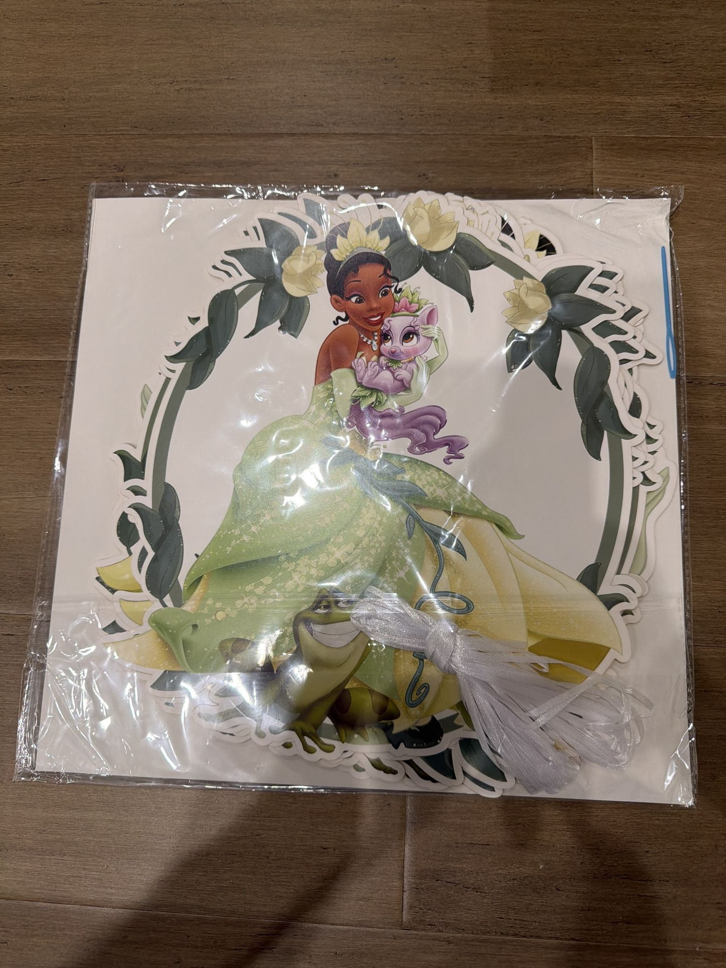 🌿 Princess Tiana Doorway Decoration Set – 10 Piece Hanging Banner Kit