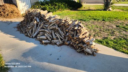 Large Pile of Cut Firewood Logs