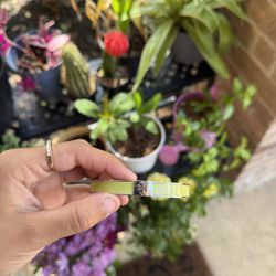 TORY BURCH BRAND NEW BRACELET FOR SALE 