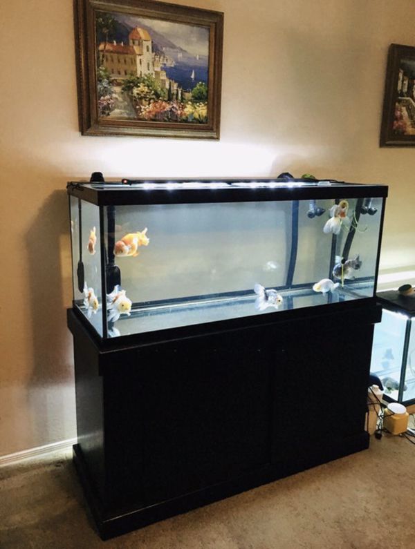 Fish Tank Aquarium 75 Gallon MARINELAND Like New 2019 for Sale in