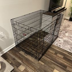 XXL Kong Dog Crate