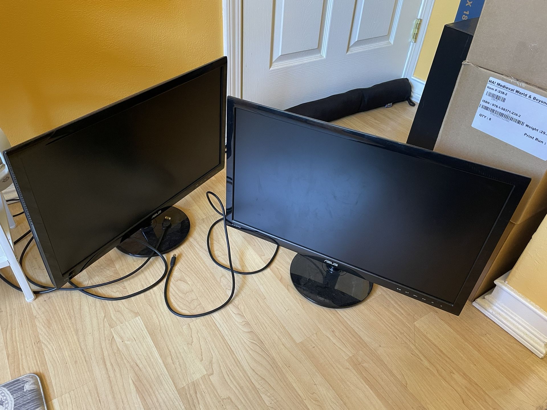 Twin Monitors