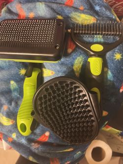 Set Cepillo Para Perros