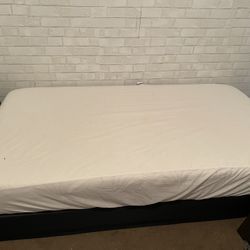 Twin Size Matress &  Box Spring