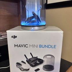 Mini Drone