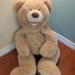 Giant Costco Plush Bear 🧸 