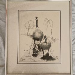 H. Moodie Canadian Geese Drawing 