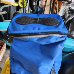 Bluetooth SPEAKER COOLER BAG