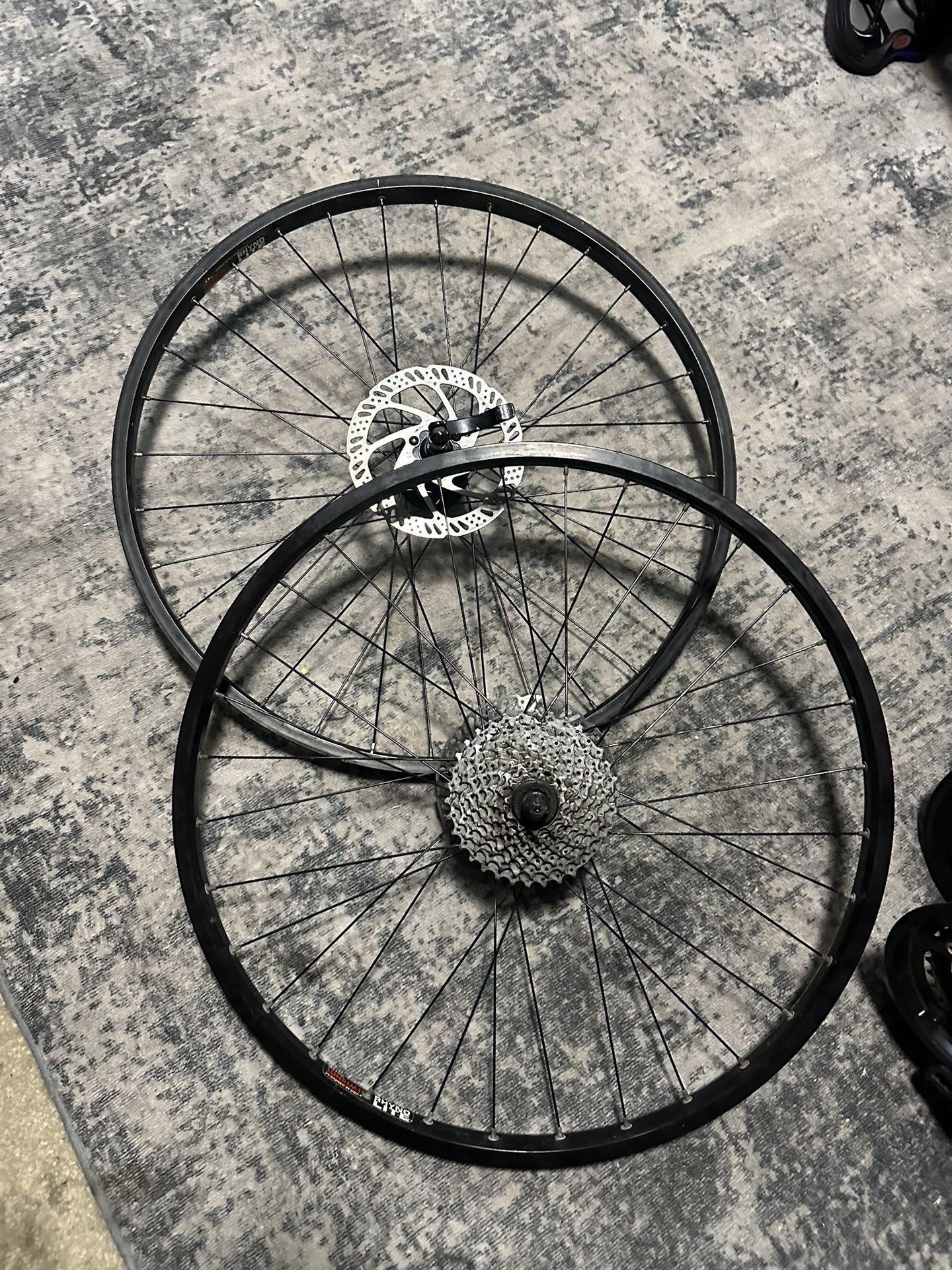 Rhyno Lite Sun Rims 26” PIVIT HUBS