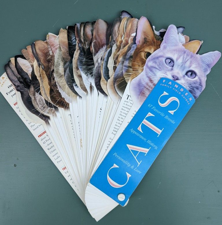 Fandex Cats