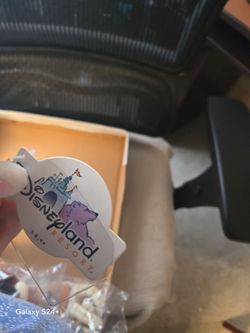 Disneyland Resort Souvenir Tag or Magnet