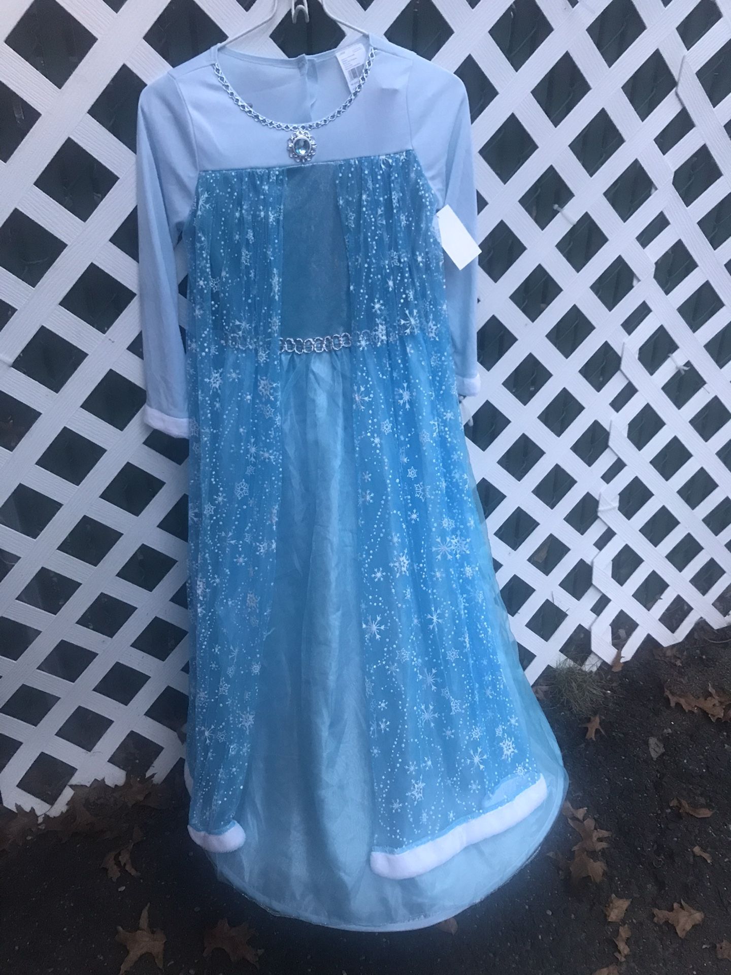 New Frozen costume