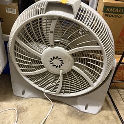 Fan