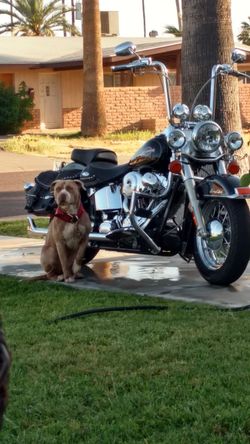 2005 Harley davidson Heritage