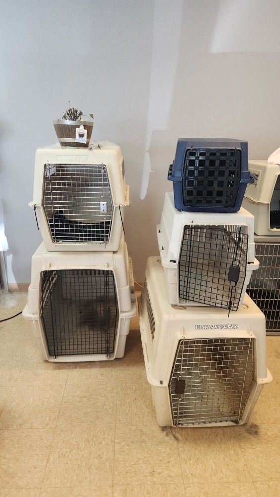 Dog Crates Many Sizes $100ea OBO