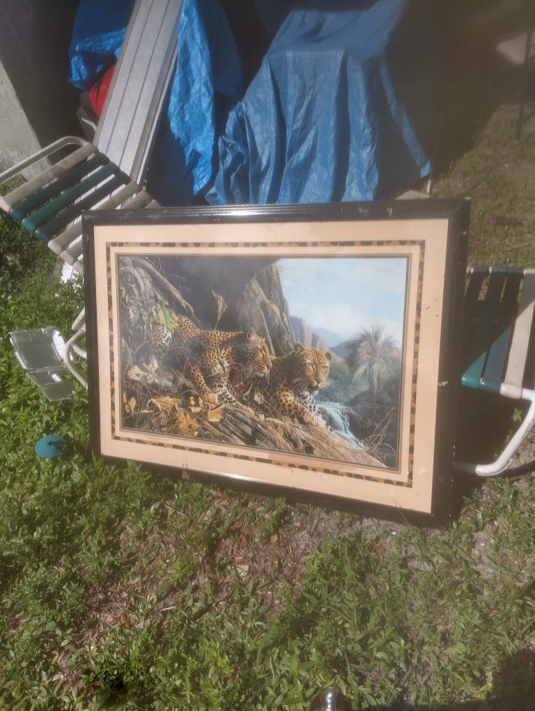 Picture 🖼️ For The Wall