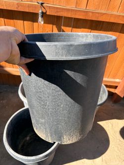 Large Black Plastic Nursery Pot $20 for all or $5 each