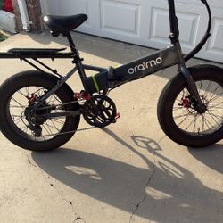 E-bike  Trade For Lowrider Beach Cruiser