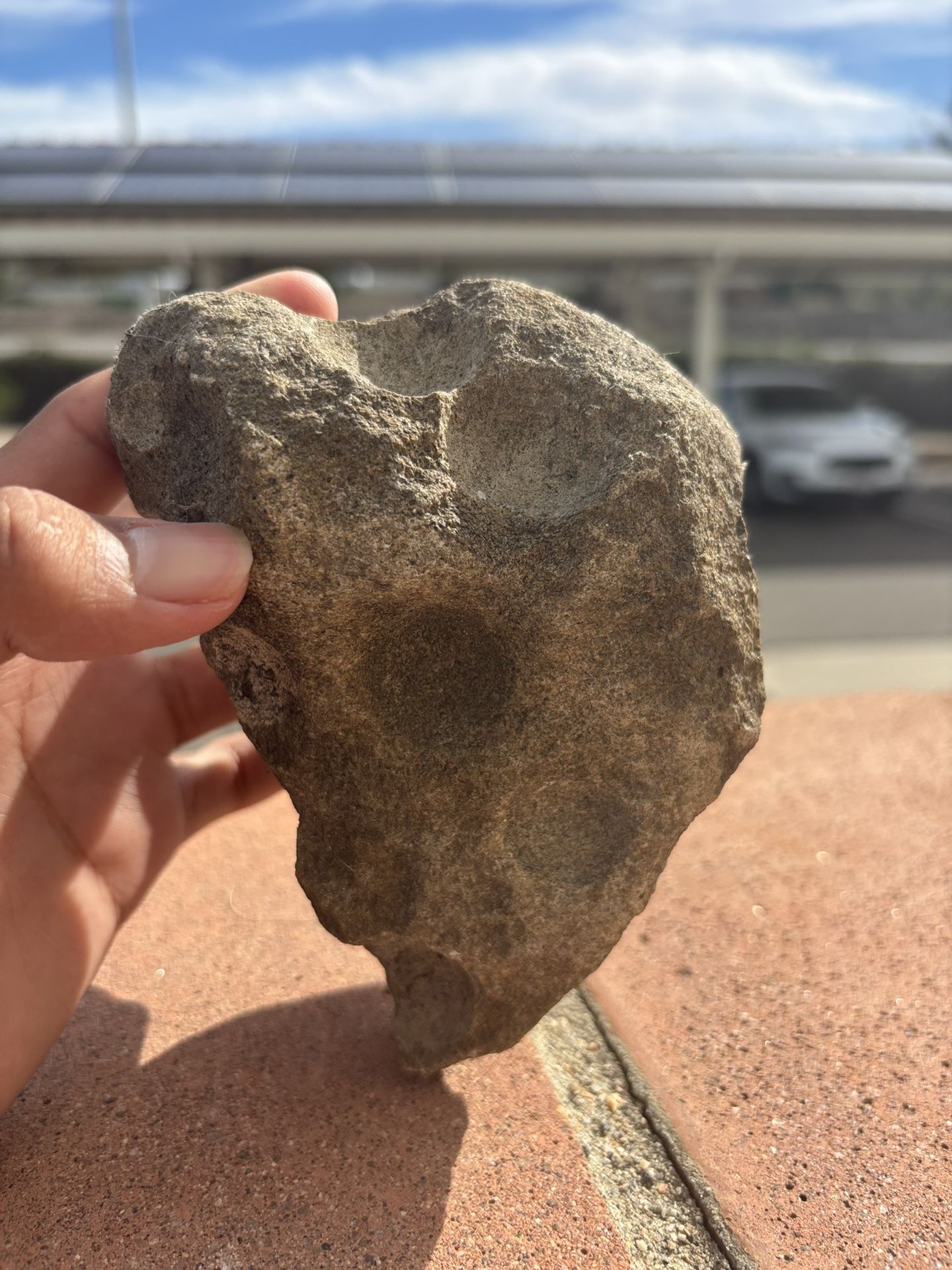 “Unique natural sandstone with ocean-carved holes – found near the beach in Mexico”