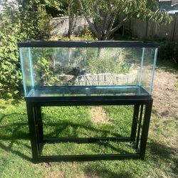 55 Gal Fishtank & Steel Stand.