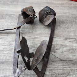 Antique skates