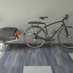 Devine Newton Bikepacking/City Cruiser/ Gravel Fully Reconditioned 