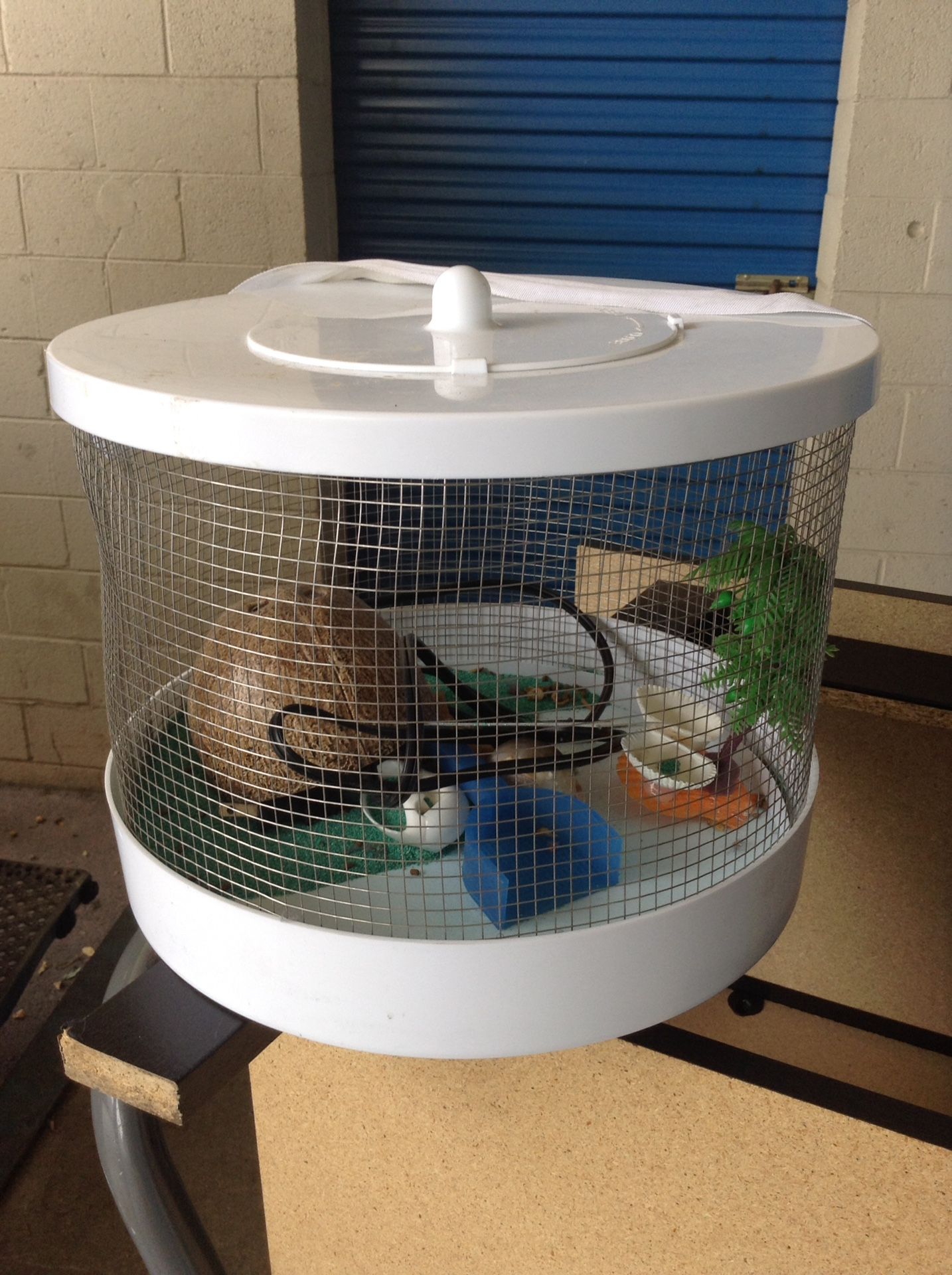 Wire Hermit Crab Cage