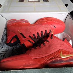 LeBron Nike React