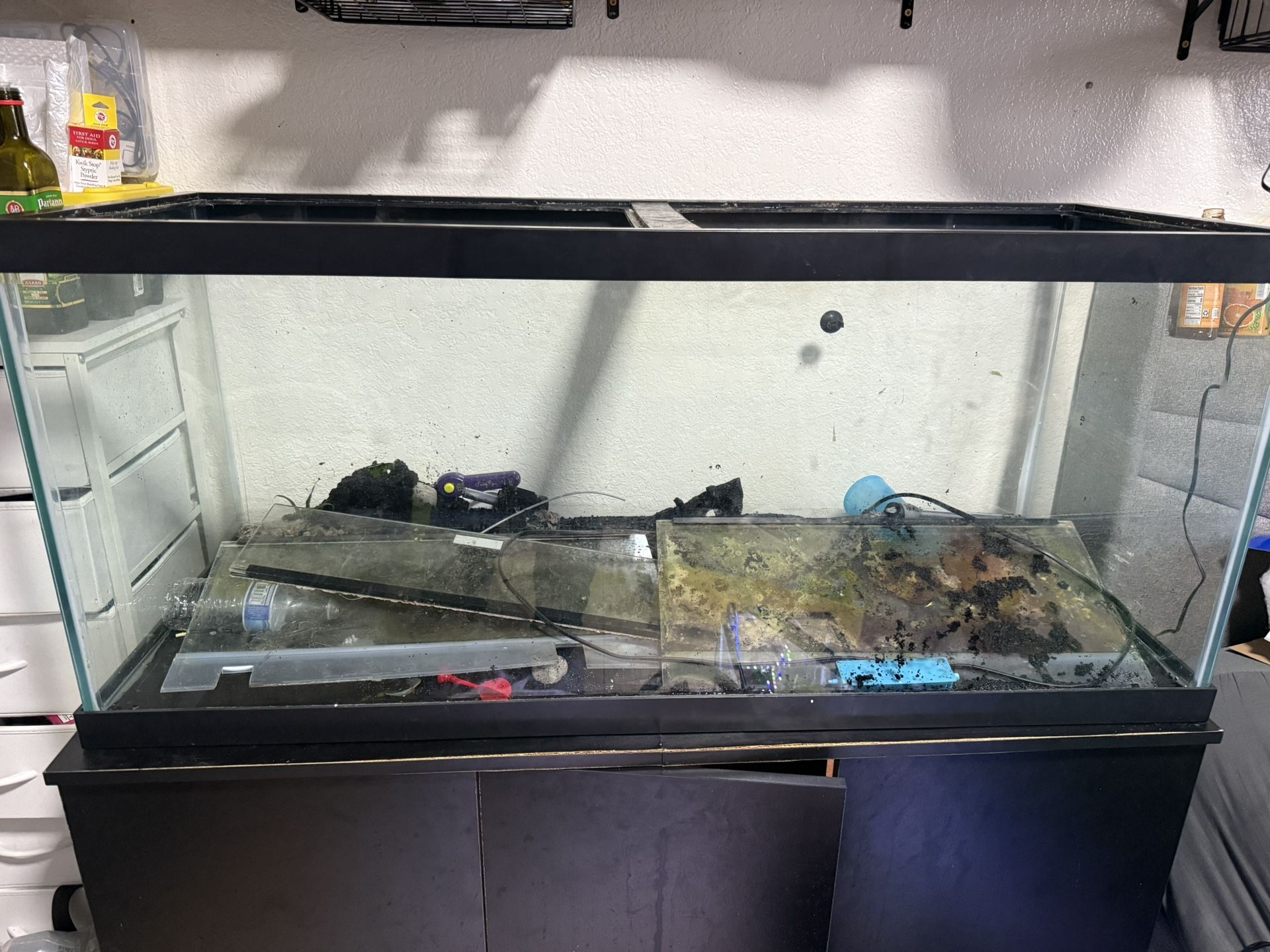 75 Gallon Fish Tank