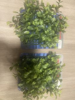 Fish Tank Plants Decorations & Heaters